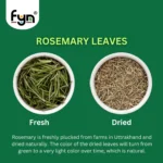 FYN Rosemary Dried Herb for Eating Culinary Food Hair Tea Organic Natural Agro Himalayan Uttarakhand